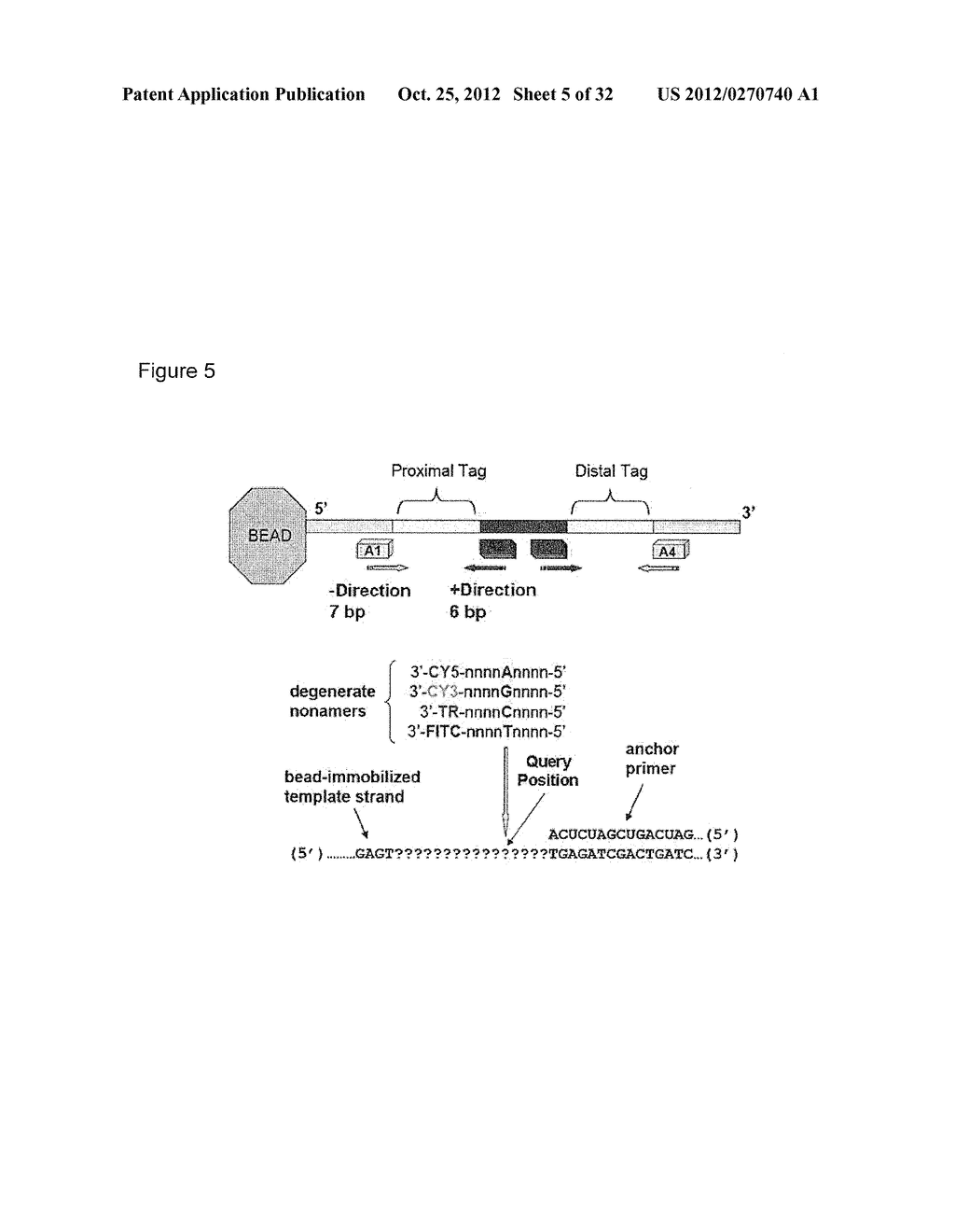 POLONY SEQUENCING METHODS - diagram, schematic, and image 06