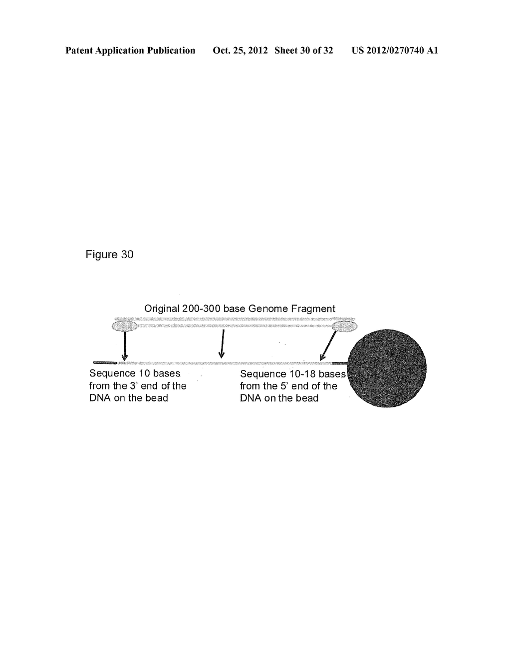 POLONY SEQUENCING METHODS - diagram, schematic, and image 31