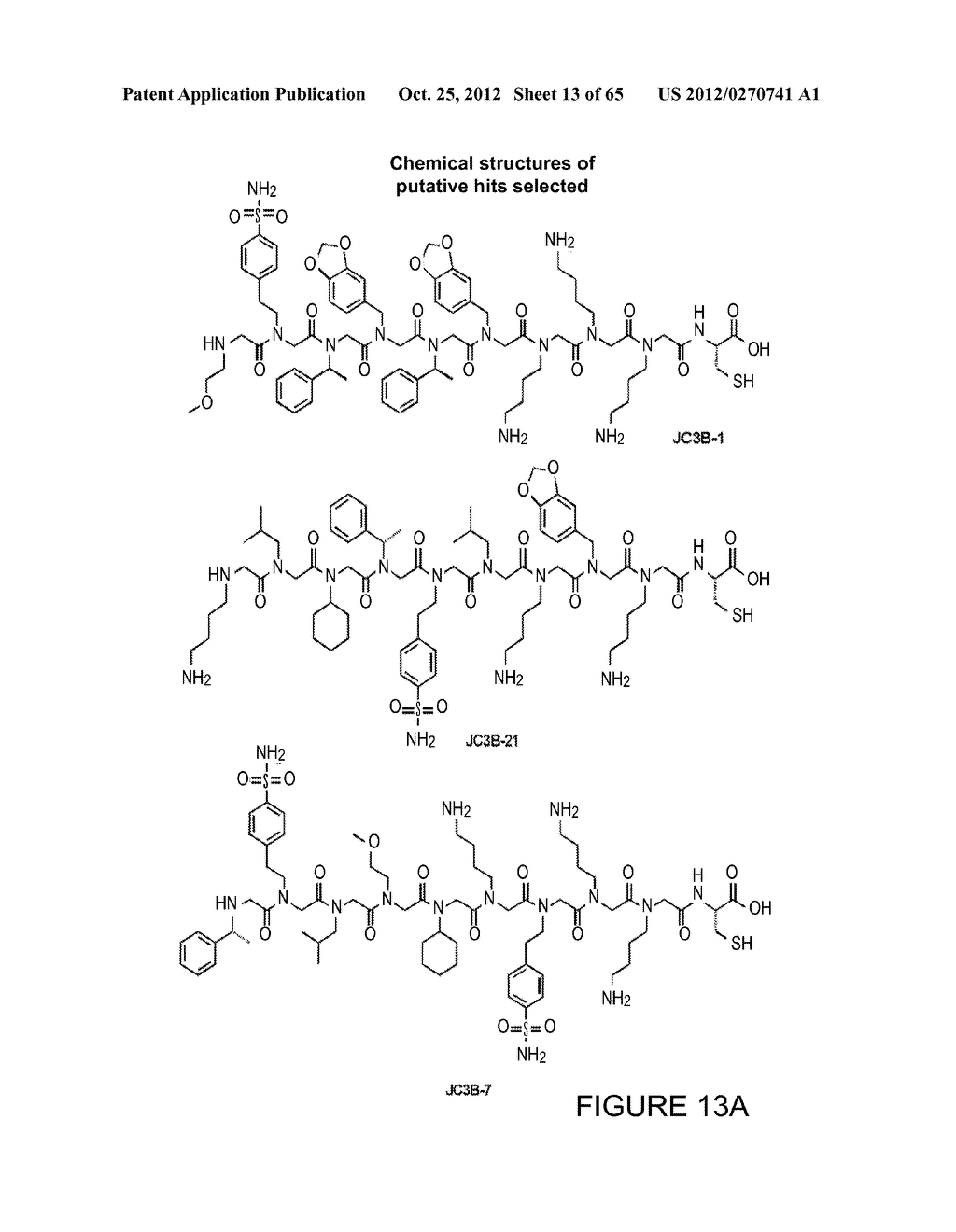 BIOMARKER DISCOVERY IN COMPLEX BIOLOGICAL FLUID USING BEAD OR PARTICLE     BASED LIBRARIES AND DIAGNOSTIC KITS AND THERAPEUTICS - diagram, schematic, and image 14