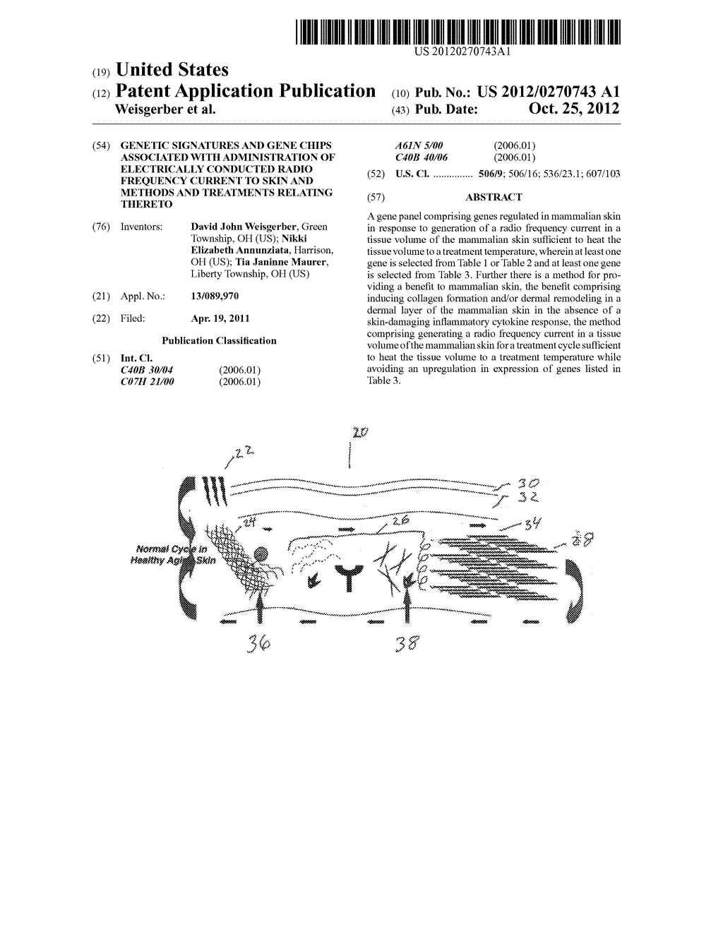 Genetic Signatures and Gene Chips Associated With Administration of     Electrically Conducted Radio Frequency Current to Skin and Methods and     Treatments Relating Thereto - diagram, schematic, and image 01