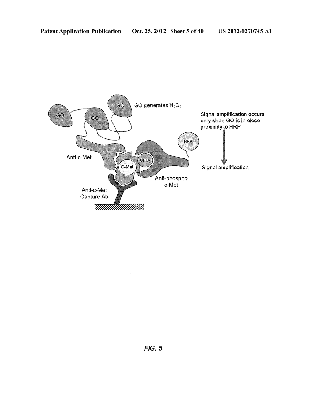 DRUG SELECTION FOR CANCER THERAPY BY PROFILING SIGNAL TRANSDUCTION     PROTEINS IN ASCITES OR PLEURAL EFFLUX SAMPLES - diagram, schematic, and image 06