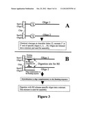 Microarray Synthesis and Assembly of Gene-Length Polynucleotides diagram and image