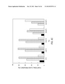 siRNA Targeting Diacylglycerol O-Acyltransferase Homolog 2 (DGAT2) diagram and image