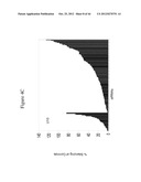 siRNA Targeting Diacylglycerol O-Acyltransferase Homolog 2 (DGAT2) diagram and image