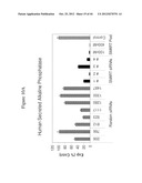 siRNA Targeting Diacylglycerol O-Acyltransferase Homolog 2 (DGAT2) diagram and image