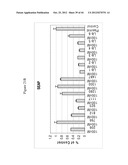 siRNA Targeting Diacylglycerol O-Acyltransferase Homolog 2 (DGAT2) diagram and image