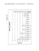 siRNA Targeting Diacylglycerol O-Acyltransferase Homolog 2 (DGAT2) diagram and image