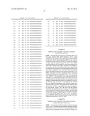 siRNA Targeting Diacylglycerol O-Acyltransferase Homolog 2 (DGAT2) diagram and image