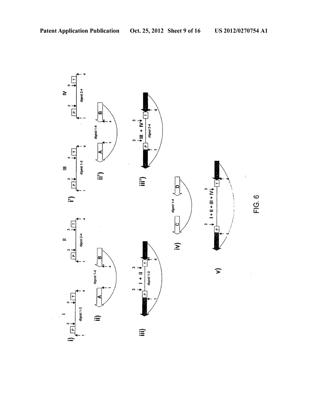 Iterative Nucleic Acid Assembly Using Activation of Vector-Encoded Traits - diagram, schematic, and image 10