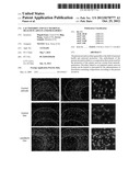 LACTOFERRIN AND GUT NEURONAL HEALTH IN ADULTS AND/OR ELDERLY diagram and image