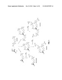 COMPOUNDS HAVING PEPTIDES CONJUGATED TO BONE TARGETING MOIETIES AND     METHODS OF MAKING AND USING THEREOF diagram and image