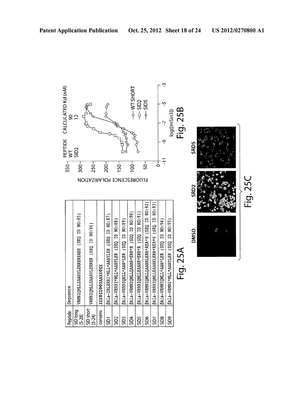 BIFUNCTIONAL STAPLED POLYPEPTIDES AND USES THEREOF - diagram, schematic, and image 19