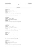 HER3 BINDING POLYPEPTIDES diagram and image