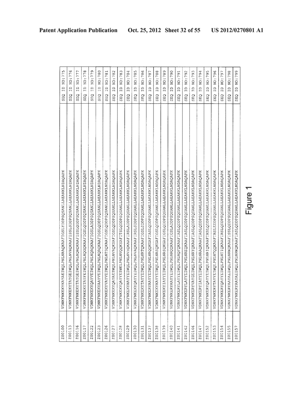 HER3 BINDING POLYPEPTIDES - diagram, schematic, and image 33