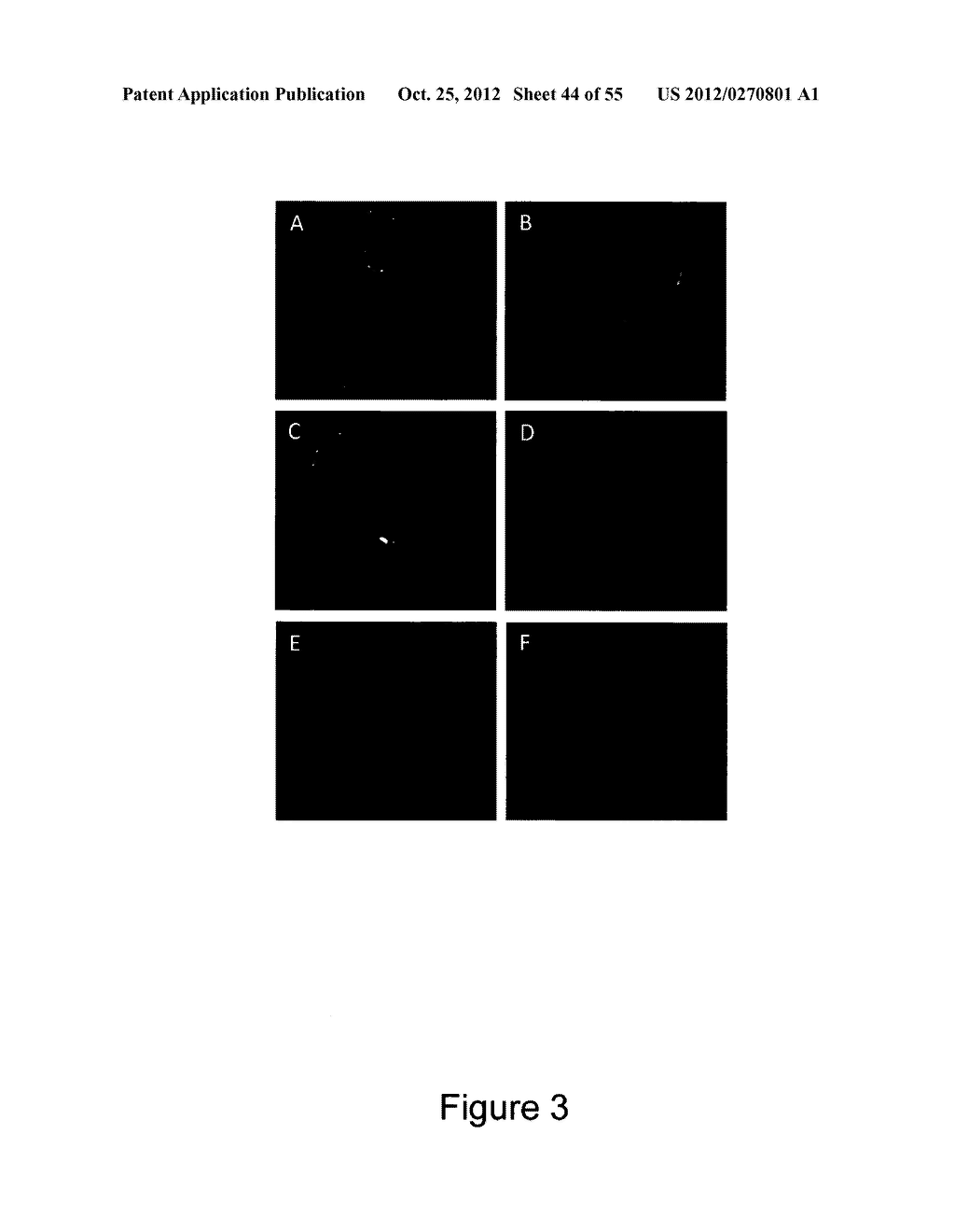 HER3 BINDING POLYPEPTIDES - diagram, schematic, and image 45