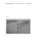 MODIFICATION OF ENZYMATIC CROSSLINKERS FOR CONTROLLING PROPERTIES OF     CROSSLINKED MATRICES diagram and image