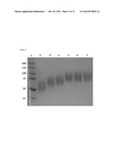 MODIFICATION OF ENZYMATIC CROSSLINKERS FOR CONTROLLING PROPERTIES OF     CROSSLINKED MATRICES diagram and image