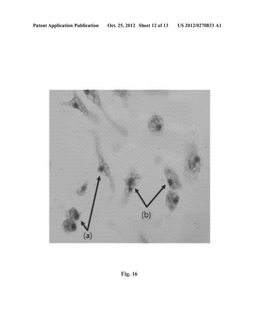 IMMUNE ACTIVATION OF GREEN TEA HYDROLYSATE AND METHOD FOR PREPARING FOOD     COMPOSITION CONTAINING THE SAME - diagram, schematic, and image 13