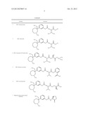 NOVEL CARBAMATE AMINO ACID AND PEPTIDE PRODRUGS OF OPIATES AND USES     THEREOF diagram and image