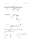 NOVEL CARBAMATE AMINO ACID AND PEPTIDE PRODRUGS OF OPIATES AND USES     THEREOF diagram and image