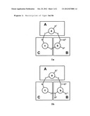 CONFORMATIONALLY CONSTRAINED, FULLY SYNTHETIC MACROCYCLIC COMPOUNDS diagram and image