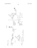 CONFORMATIONALLY CONSTRAINED, FULLY SYNTHETIC MACROCYCLIC COMPOUNDS diagram and image