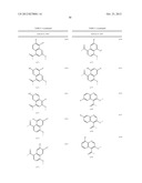 CONFORMATIONALLY CONSTRAINED, FULLY SYNTHETIC MACROCYCLIC COMPOUNDS diagram and image