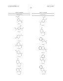 CONFORMATIONALLY CONSTRAINED, FULLY SYNTHETIC MACROCYCLIC COMPOUNDS diagram and image