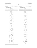 CONFORMATIONALLY CONSTRAINED, FULLY SYNTHETIC MACROCYCLIC COMPOUNDS diagram and image