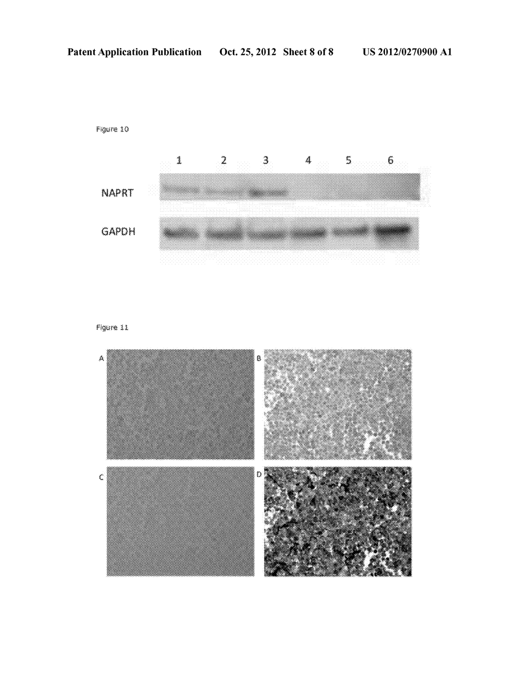 NOVEL METHOD OF TREATMENT - diagram, schematic, and image 09