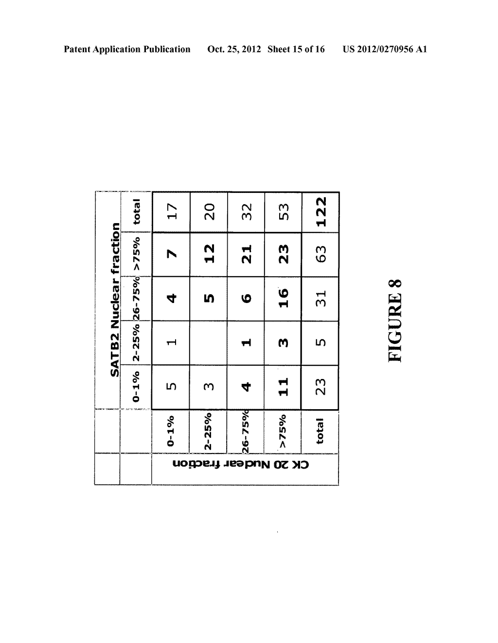 USE OF PROTEIN SATB2 AS A MARKER FOR COLORECTAL CANCER - diagram, schematic, and image 16