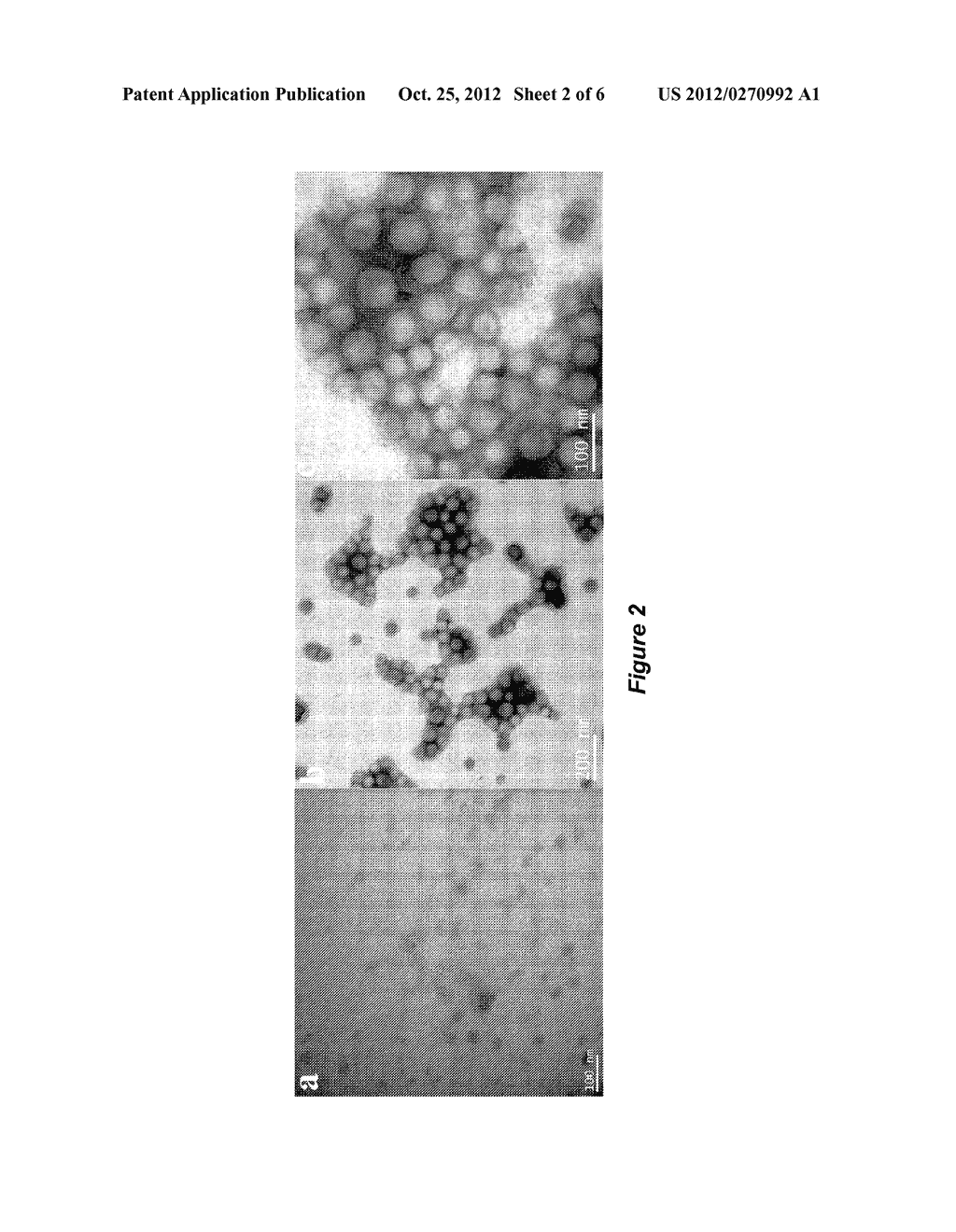 SURFACTANT-FREE CORE-SHELL HYBRID LATEXES - diagram, schematic, and image 03