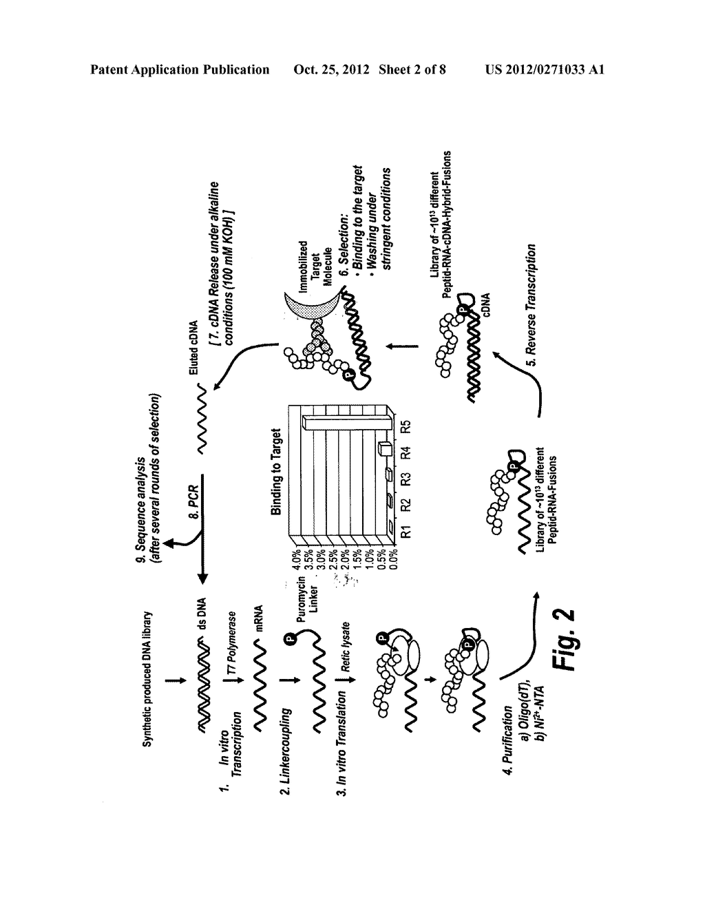 HIGH AFFINITY ADAPTOR MOLECULES FOR REDIRECTING ANTIBODY SPECIFITY - diagram, schematic, and image 03