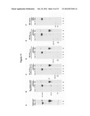 Solution Assay and High Through-Put Screen to Probe Interaction Between     Human Cullin-Ring Ligase Complex and HIV-VIF Protein diagram and image