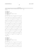 Solution Assay and High Through-Put Screen to Probe Interaction Between     Human Cullin-Ring Ligase Complex and HIV-VIF Protein diagram and image