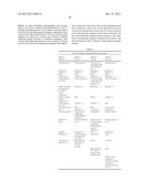 MAMMALIAN EXPRESSION VECTOR diagram and image