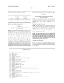 MAMMALIAN EXPRESSION VECTOR diagram and image