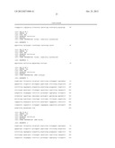 MAMMALIAN EXPRESSION VECTOR diagram and image