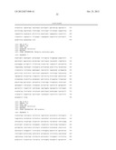 MAMMALIAN EXPRESSION VECTOR diagram and image