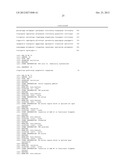 MAMMALIAN EXPRESSION VECTOR diagram and image