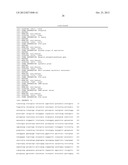 MAMMALIAN EXPRESSION VECTOR diagram and image