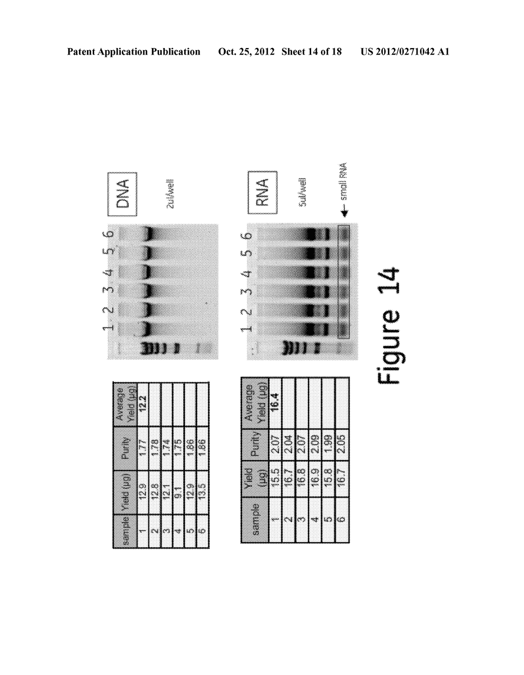 METHOD FOR ISOLATION OF GENOMIC DNA, RNA AND PROTEINS FROM A SINGLE SAMPLE - diagram, schematic, and image 15