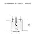 Integrated Biometric Sensing and Display Device diagram and image