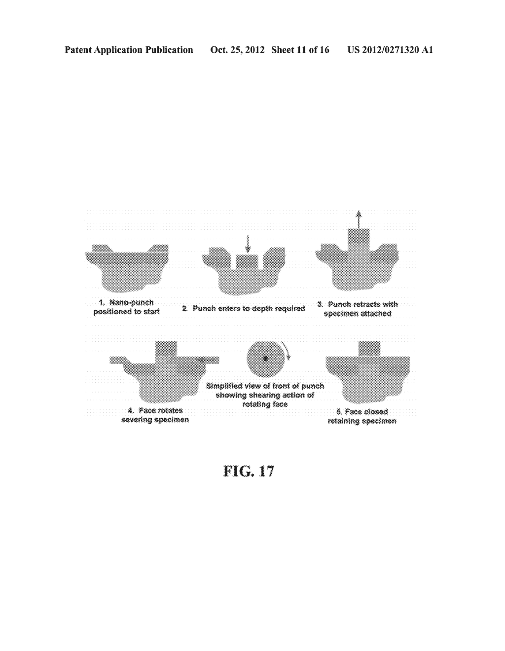 SKIN GRAFT DEVICES AND METHODS - diagram, schematic, and image 12