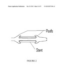 BIODEGRADABLE ENDOPROSTHESES AND METHODS FOR THEIR FABRICATION diagram and image