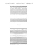 BIODEGRADABLE ENDOPROSTHESES AND METHODS FOR THEIR FABRICATION diagram and image