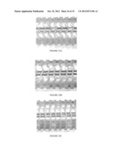 BIODEGRADABLE ENDOPROSTHESES AND METHODS FOR THEIR FABRICATION diagram and image