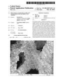 Bioactively Coated Metal Implants and Methods for the Production Thereof diagram and image