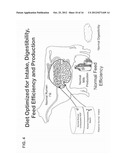 Methods and Systems for Adjusting Ruminally Digestible Starch and Fiber in     Animal Diets diagram and image