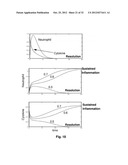 Modeling Wound Healing diagram and image